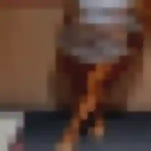 Pascale (33 ans) à Carqueiranne cherche une rencontre rapidement