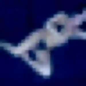 Photo de Isaure à Casteljaloux (42 ans) - plan cul gratuit