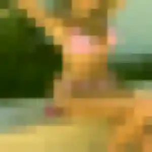 Photo perso de Maiwenn, 44 ans à Cauro - rencontre sans lendemain