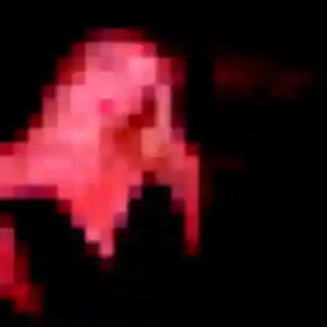 Prisca, 41 ans, en ligne à Caylus pour une rencontre coquine