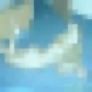 Veronique, 24 ans, dispo pour plan cul à Cazères