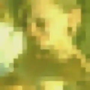 Photo de Lucette à Cazilhac (42 ans) - plan cul gratuit