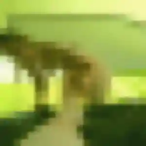 Contacte Sophie, 41 ans à Cenon en privé