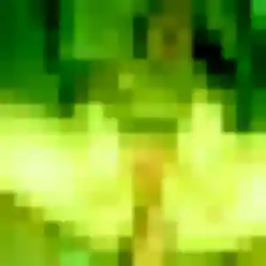 Photo exclusive de Candice, 44 ans à Cercié - rencontre sans lendemain