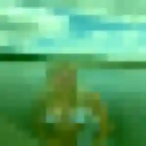 Anne-Sophie de Cernay-la-Ville, 32 ans - plan cul en toute liberté