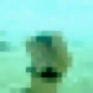 Iseult, 43 ans, dispo pour plan cul à Cessières-Suzy