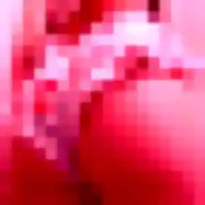 Julie-Anne (33 ans) à Chaillé-les-Marais propose une rencontre aujourd'hui