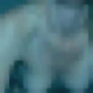 Belle Chloe-Anne, 40 ans à Chameyrat - découvrir son profil