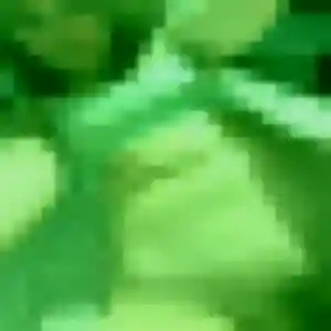 Solene, 44 ans, connectée à Champagnac pour une rencontre coquine