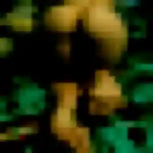 Photo privée de Zina, 35 ans à Champagne-Mouton - rencontre coquine