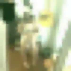 Mila (37 ans) à Champagne-sur-Seine propose une rencontre rapidement