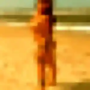 Nour, 25 ans, dispo pour plan cul à Champfromier