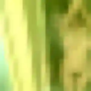 Corinne, 24 ans, dispo pour plan cul à Champs-sur-Tarentaine-Marchal