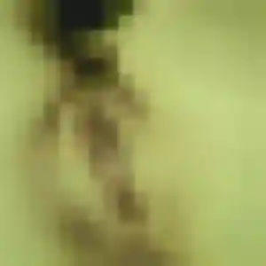 Prisca, 40 ans, cherche un plan cul à Chanteau