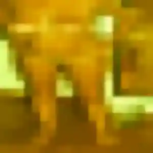 Photo de Marie-Claire à Chanu (39 ans) - plan cul discret