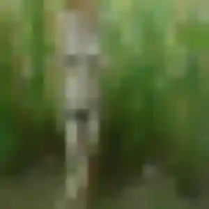 Sexy Wendy, 28 ans à Chaource - découvrir son profil