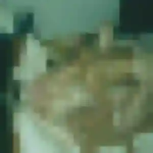 Photo de Marie-Laure à Charbonnières-les-Bains (45 ans) - plan cul sans inscription