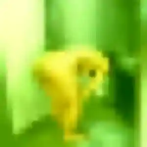 Coralie (37 ans) à Charbonnières-les-Varennes propose une rencontre ce soir