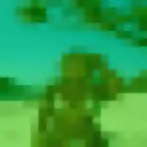 Ninon de Charbonnières-les-Vieilles, 35 ans - plan cul sans lendemain