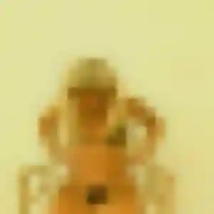 Perrine, 31 ans, disponible à Chaspinhac pour une rencontre coquine