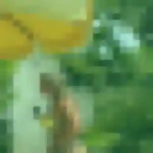 Jolie Sarah-Lou, 42 ans à Châteaugiron - la contacter