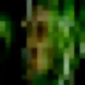 Rose, 38 ans, dispo pour plan cul à Châtenoy-en-Bresse