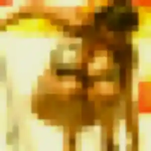 Iseult, 35 ans, veut un plan cul à Chavagnes-en-Paillers