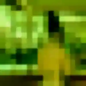 Rencontre Lison, 34 ans à Chavagnes-en-Paillers en privé