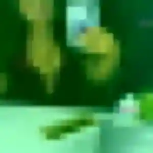 Belle Sophie, 33 ans à Chevillon-sur-Huillard - la contacter