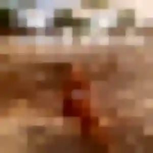Photo de Gwenaelle à Chevinay (41 ans) - plan cul discret