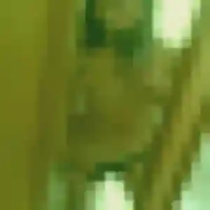 Raymonde, 31 ans, en ligne à Cintegabelle pour une rencontre coquine