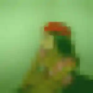 Contacte Axelle, 38 ans à Cirey-sur-Vezouze gratuitement