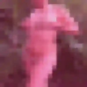 Tania, fille de 33 ans cherche plan cul à Civrac-en-Médoc
