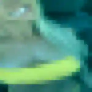 Pauline (24 ans) à Civray-de-Touraine attend un plan cul aujourd'hui