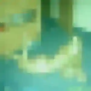 Photo de Amelie à Clairmarais (45 ans) - plan cul anonyme