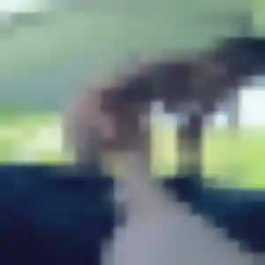 Charmante Capucine, 26 ans à Cluses - voir sa photo