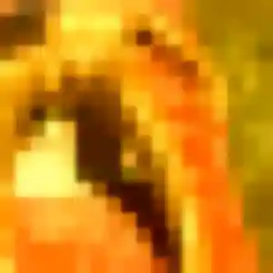 Photo de Josette à Coëtmieux (41 ans) - plan cul discret