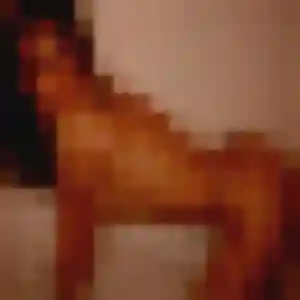 Profil de Lucette à Coin-lès-Cuvry (32 ans) - plan cul anonyme