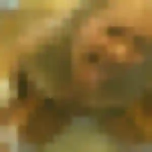 Zoe, 43 ans, cherche un plan cul à Coise-Saint-Jean-Pied-Gauthier