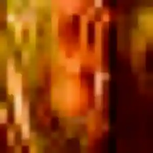 Magali, 32 ans, disponible à Collonges-au-Mont-d'Or pour un plan cul