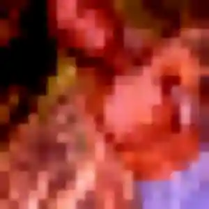 Découvre Regine, 38 ans à Collonges-au-Mont-d'Or en privé