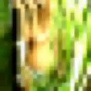 Sexy Zora, 45 ans à Collorec - voir sa photo