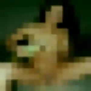 Sexy Emma-Rose, 44 ans à Condat-sur-Ganaveix - la contacter
