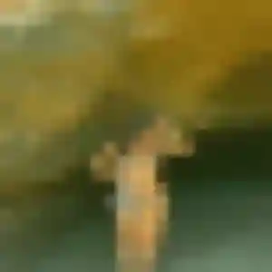 Christelle, 38 ans, cherche un plan cul à Confolens