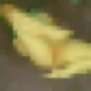 Fanny, femme de 33 ans cherche plan cul à Confort