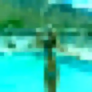 Vanessa, 44 ans, connectée à Confort pour un plan cul