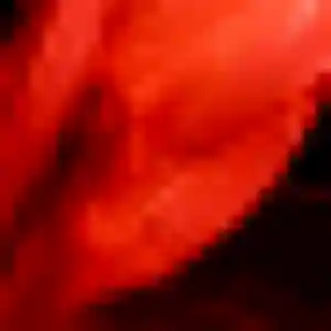 Rejoins Salome, 29 ans à Conilhac-Corbières en t'inscrivant