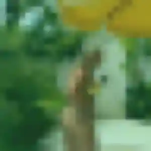 plan cul à Coquainvilliers : photo de Alice, 40 ans - inscription gratuite