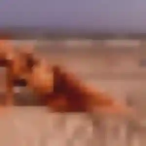 Photo de Ines à Cormeilles-en-Vexin (35 ans) - plan cul anonyme