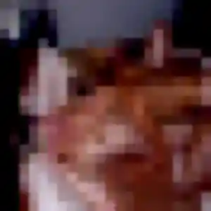 Belle Patricia, 29 ans à Cormeilles-en-Vexin - la contacter